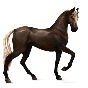 Верховая лошадь Четвертьмильная лошадь Рыжая с лавовой гривой