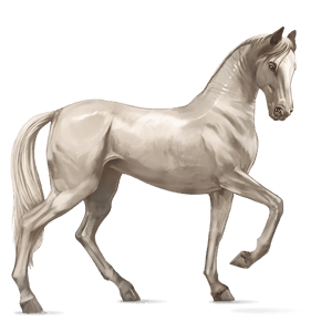 Верховая лошадь Ахалтекинская Изабелловая