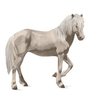 Верховая лошадь Теннесийская прогулочная Светло-серый