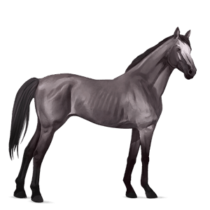 Верховая лошадь Мышино-серый
