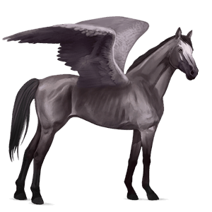 Верховой Пегас Лошадь лузитанской породы Серый в яблоках