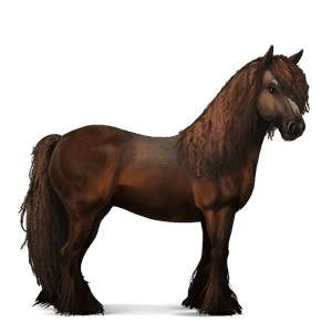 Верховая лошадь Цыганская упряжная Соловая (Паломино)