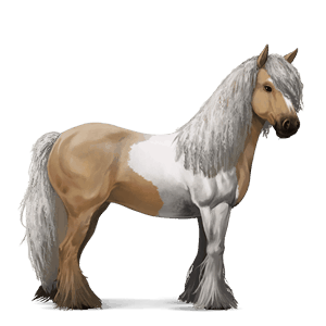 Верховая лошадь Цыганская упряжная Пегий тобиано паломино