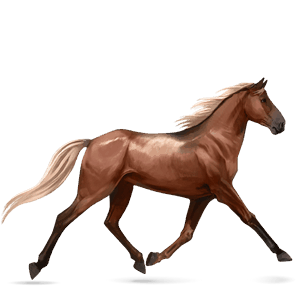 Верховая лошадь Французский Рысак Гнедая