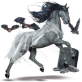 Верховой Пегас Берберийская лошадь Светло-серый