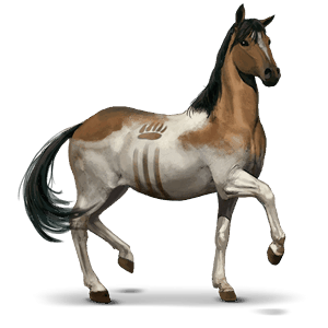 Дикая лошадь Чинкотигский пони