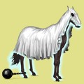 miniature.jpg?137722501