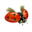 compagnon-coccinelle_v1828806360.png