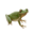 compagnon-grenouille_v1828806360.png