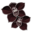 orchidee-noire.png?QwDfez5cz3dfsd2