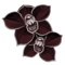 orchidee-noire.png?kzejlfk