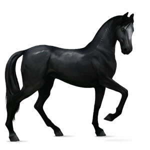 Верховая лошадь Буденновская Гнедая