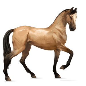 Верховая лошадь Французская Верховая Изабелловая
