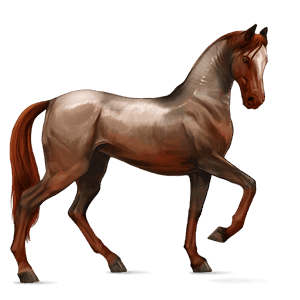 Верховая лошадь Хановериян, Ганноверская Мышино-серый