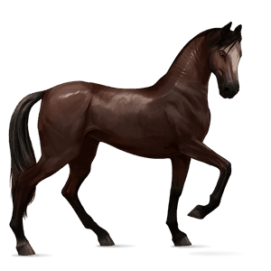 Верховая лошадь Огненно-рыжая