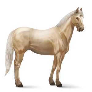 Верховая лошадь Чистокровная испанская Соловая (Паломино)