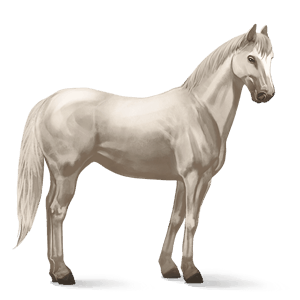 Верховая лошадь Аргентинский Криолло Кремелло