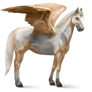 Верховой Пегас Лошадь лузитанской породы Изабелловая