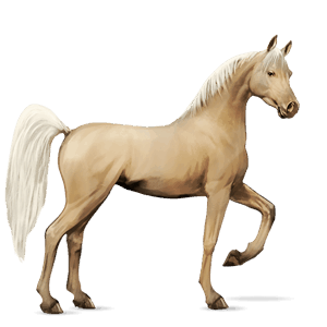Верховая лошадь Изабелловая