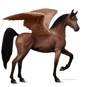 Верховой Пегас Лошадь лузитанской породы Гнедая