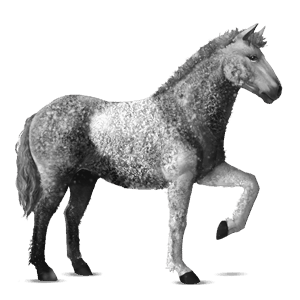Верховая лошадь Аппалуза буланой попоной