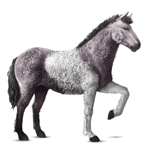 Верховая лошадь Пегий мышино-серый тобиано