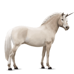 Пони-единорог Бельгийский ездовой пони Изабелловая
