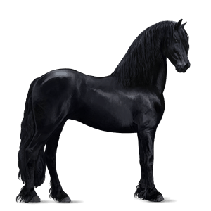 Верховая лошадь Пятнистая чёрная