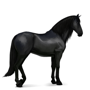 Верховая лошадь Чистокровная испанская Серый в яблоках