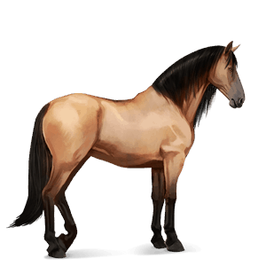 Верховая лошадь Чистокровная испанская Изабелловая
