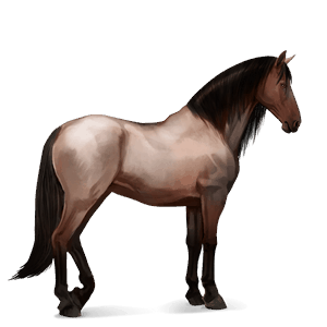 Верховая лошадь Исландская Лошадь Пегая