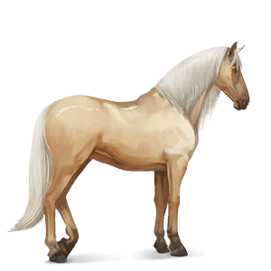 Верховая лошадь Лошадь лузитанской породы Соловая (Паломино)