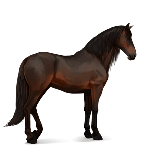 Верховая лошадь Мангаларга маршадор Рыжая