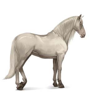 Верховая лошадь Ирландская охотничья Светло-серый