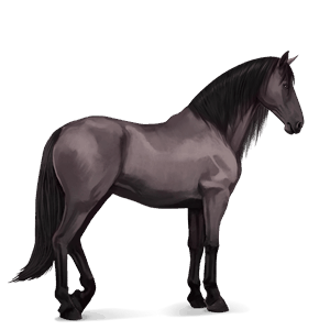Верховая лошадь Пегий тобиано серый с яблоками