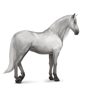 Верховая лошадь Лошадь лузитанской породы Светло-серый