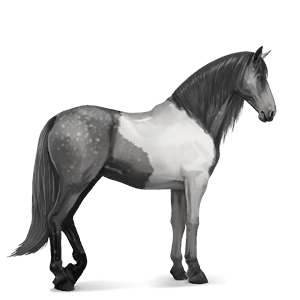 Верховая лошадь Теннесийская прогулочная Изабелловая