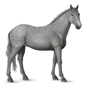 Верховая лошадь Кнабструппер Леопардово-чёрная