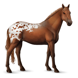Верховая лошадь Ахалтекинская Изабелловая