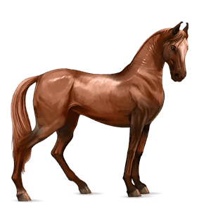 Верховая лошадь Рыжая