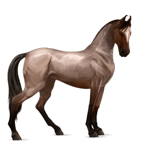 Верховая лошадь Аргентинский Криолло Пегая