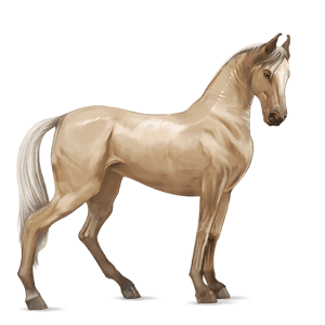 Верховая лошадь Аргентинский Криолло Соловая (Паломино)