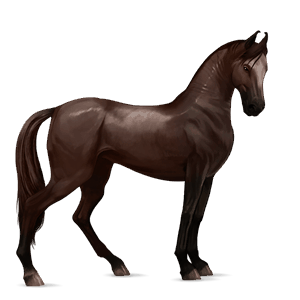 Верховая лошадь Ирландская охотничья Огненно-рыжая