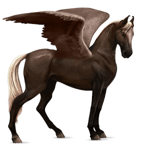 Верховой Пегас Лошадь лузитанской породы Огненно-гнедой