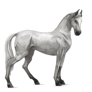 Верховая лошадь Английская чистокровная Огненно-рыжая с лавовой гривой