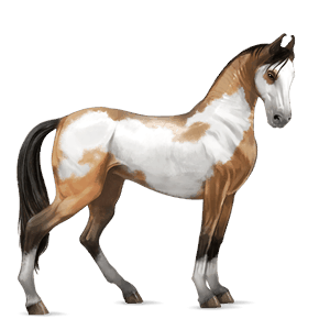 Верховая лошадь Английская чистокровная Соловая (Паломино)