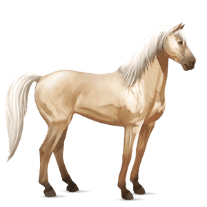 Верховая лошадь Исландская Лошадь Огненно-рыжая