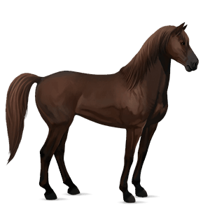 Верховая лошадь Мустанг Огненно-рыжая