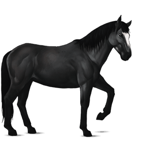 Верховая лошадь Голландская теплокровная Изабелловая