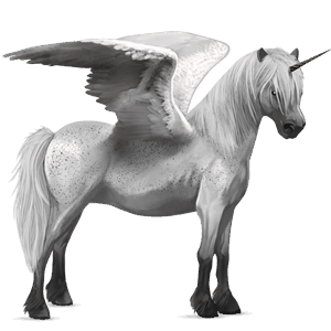 Крылатый пони-единорог  Вороная